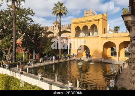 Jardin del Estanque, or Pool Garden, Royal Alcazars, Seville, Seville Province, Andalusia, Spain.  The monumental complex formed by the Cathedral, the Stock Photo