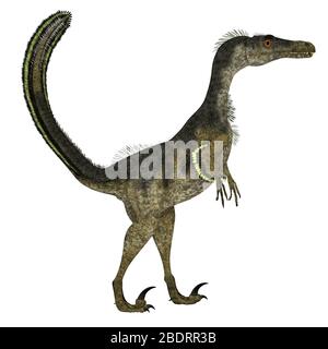 Dinosaur Velociraptor Mongoliensis Stock Photo - Alamy