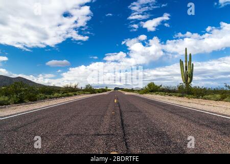 Desert Highway in Arizona, leading into the horizon. Saguaro cactus on side of the road. Blue sky and clouds overhead. Stock Photo