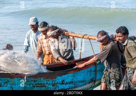 Fishermen hauling their traditional wooden boat from the sea on Marari Beach following an early morning fishing trip. Kerala, India Stock Photo