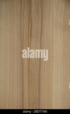 Wooden textures design. Stock Photo