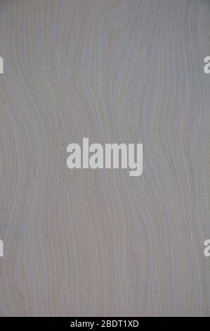 Exotic wood textures. Light gray background with yellow stripes. Textured background. Zigzag stripes. Stock Photo