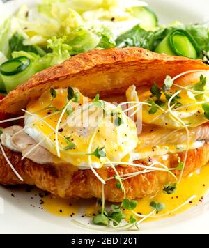 close up of chicken sandwich with egg benedict in croissant Stock Photo