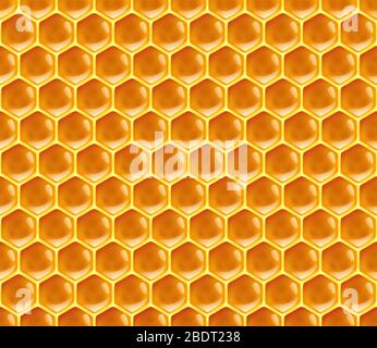 Seamless honeycomb texture background. Vector illustration. Stock Vector