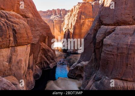 Guelta d'Archei waterhole near oasis, camels dringing the woater, Ennedi Plateau, Chad, Africa Stock Photo