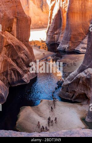 Guelta d'Archei waterhole near oasis, camels dringing the woater, Ennedi Plateau, Chad, Africa Stock Photo