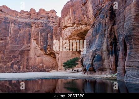 Guelta d'Archei waterhole near oasis, Ennedi Plateau, Chad, Africa Stock Photo