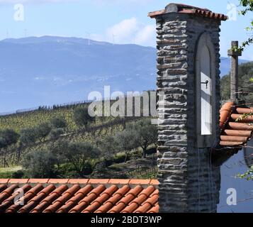 Peso Da RéGua, Portugal. 7th Mar, 2020. Luscious oranges grow at the Quinta Seara D'Ordens vineyard in the Douro River valley, Peso da Régua, Portugal, March 7, 2020. The family-owned business, which dates to 1792, is known for its port wine. Credit: Mark Hertzberg/ZUMA Wire/Alamy Live News Stock Photo