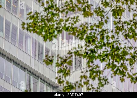 Architectural detail of building facade visible from the Bryant Park, New York Stock Photo