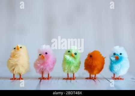 Cute, colorful Easter chicks in a row. Easter decoration. Stock Photo
