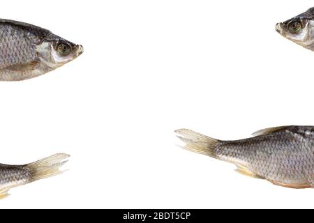 Pieces of dried roach isolated on the white background with copy space. Dried roach is a good snack to beer. Stock Photo