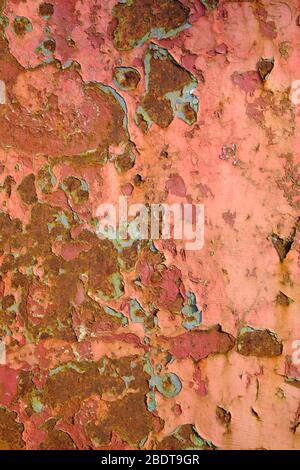 brightly painted but rusting metal surface Stock Photo