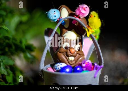 Eindhoven, Netherlands. 09th Apr, 2020. EIDHOVEN, 09-04-2020, Easter bunny with Easter chocolate eggs on Maundy Thursday. Credit: Pro Shots/Alamy Live News Stock Photo