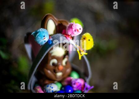 Eindhoven, Netherlands. 09th Apr, 2020. EIDHOVEN, 09-04-2020, Easter bunny with Easter chocolate eggs on Maundy Thursday. Credit: Pro Shots/Alamy Live News Stock Photo