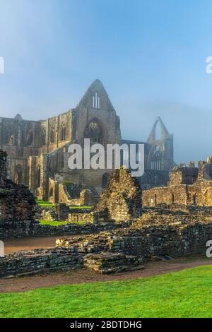 The ruins of the XII century Cistercian Abbey of Tintern, in the Wye Valley, Wales, United Kingdom, Europe Stock Photo