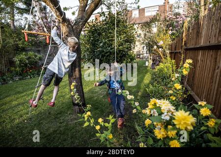 Two young brothers aged 6 and 9 playing on a rope ladder and rope swing in their back garden, London, England, United Kingdom Stock Photo