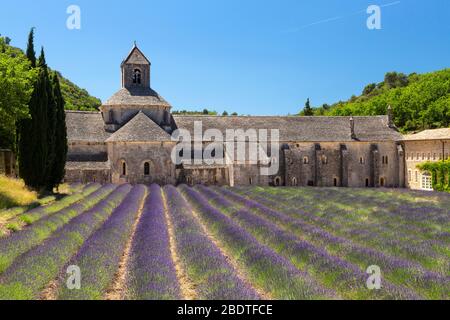 Sénanque Abbey near Gordes, France Stock Photo