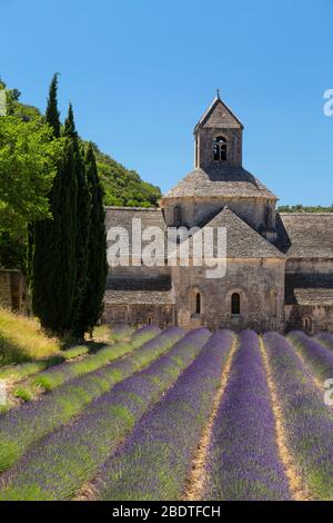 Sénanque Abbey near Gordes, France Stock Photo