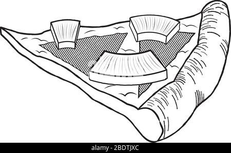 Hawaiian pizza (pineapple, ham) - black and white illustration/ drawing Stock Vector