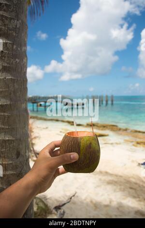 Coconut close up with blurred background Stock Photo