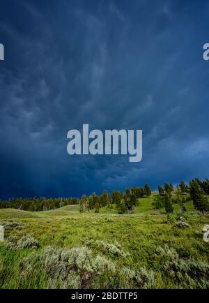 Dark and stormy clouds over Green hills in Yellowstone Stock Photo