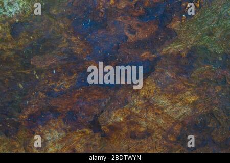 Abstract multicolored image, made with a brush. Stock Vector