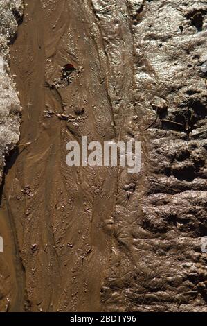 Spring Thaw Mud Path Half Smooth Half Bumpy Abstract Close Up of Dirt Water running through Channels or Road ways with ice melting from Spring Thaw Stock Photo