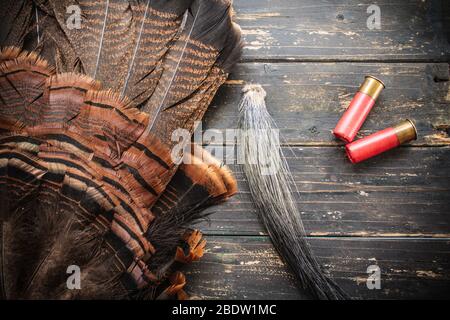 spring turkey hunting wallpaper