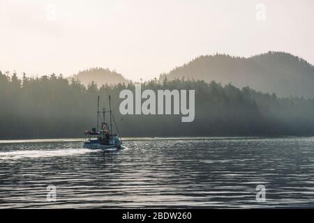 Forests, islands and mountains are making layers during sunshine in Tofino Canada. Stock Photo