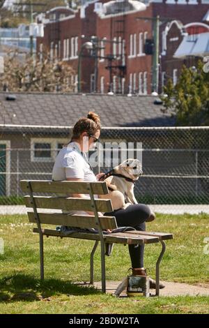 Vancouver, Canada, 09 April 2020. A woman uses her cell phone while sitting on a park bench with her pet pug during the COVD-19 pandemic. Stock Photo