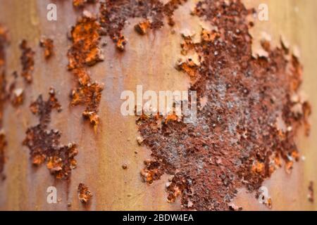 Rustic Iron Sheet Texture Background, Old oxidized Rustic Texture Stock Photograph Stock Photo