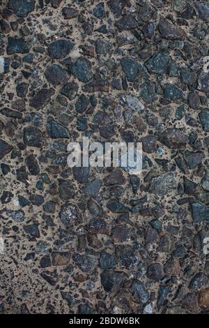 Sea sand with remnants of shells and small pebbles. Background. Stock Photo