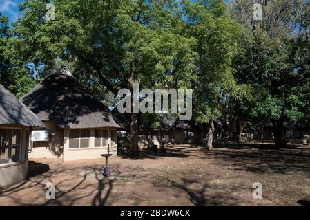 Bungalows, Letaba Camp, Kruger National Park, Mpumalanga province, South Africa, Africa Stock Photo