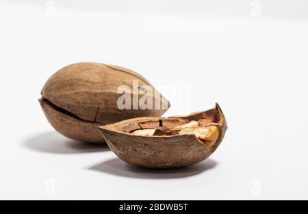 Close-up of pecan nuts, one broken, on a white background Stock Photo