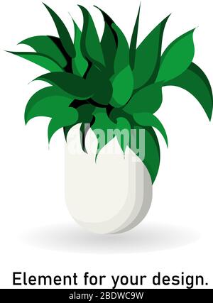 houseplant in a white flower pot isolated on a white background. Vector illustration. Interior items. Flower. Stock Vector