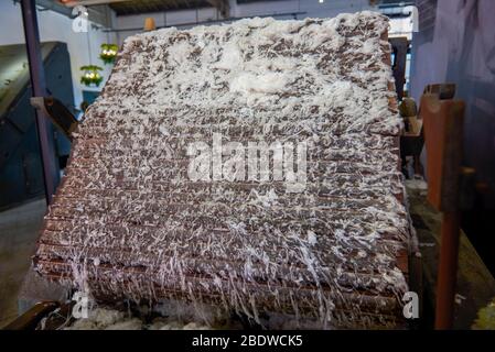 Cotton batting on a textile machine Stock Photo