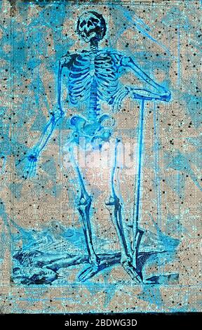 Digitally enhanced image of a Male full body front skeleton woodcut print at the opening of the Human Anatomy book 'Notomie di Titiano' Printed in Ita Stock Photo