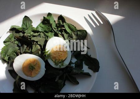 Spring salad with fresh dandelion greens and hard-boiled eggs in white plate on white wooden background. Close up, top view, copy space Stock Photo