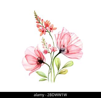 Watercolor floral arrangement. Vertical design element. Abstract big poppy  flowers with exotic fresia isolated on white. Botanical illustration for  Stock Photo - Alamy