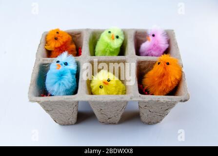 Cute colorful Easter chicks in paper container. Easter decoration. Stock Photo