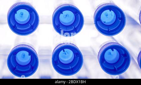 Closer look of the blue caps of the tubes on the table glass inside the lab Stock Photo