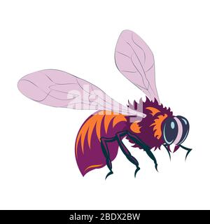 Vector illustration of flying honey bee on white background Stock Vector