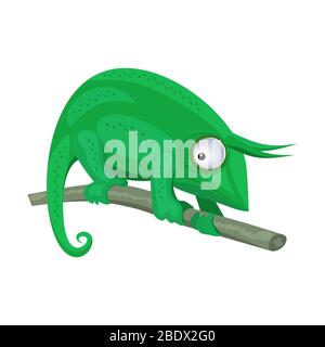 Green chameleon sitting on the branch on white background, vector illustration. Stock Vector