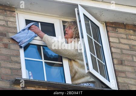 Mature woman leans out of her window to clean them in Spring UK Stock Photo