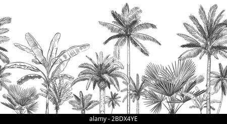 Seamless horizontal tropical background. Hand drawn palm trees, sketch exotic tropic jungle leaves and paradise palm tree vector wallpaper Stock Vector