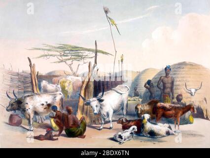 South Africa, Zulu Kraal, 1840s Stock Photo