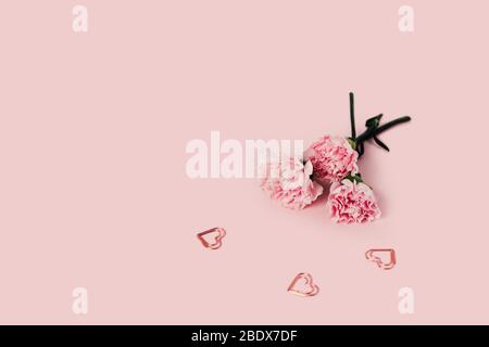 Roses on a pink background with three metal hearts. Stock Photo
