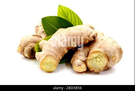 Fresh ginger isolated on white background Stock Photo