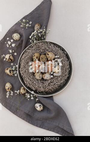 Chicken, quail eggs and gypsophila flowers in a nest and over dark linen napkin. Negative space. Stock Photo