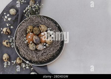 Chicken, quail eggs and gypsophila flowers in a nest and over dark linen napkin. Negative space. Stock Photo